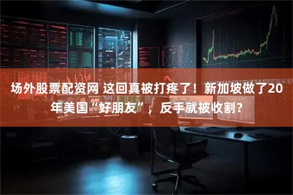 场外股票配资网 这回真被打疼了！新加坡做了20年美国“好朋友”，反手就被收割？