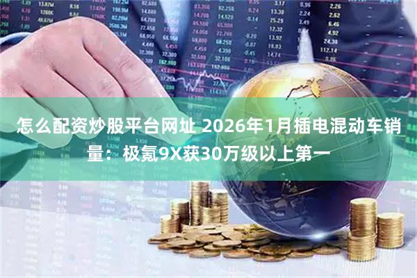 怎么配资炒股平台网址 2026年1月插电混动车销量：极氪9X获30万级以上第一